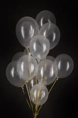 Şeffaf Balon 100
