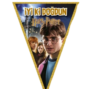 Harry Potter Üçgen Bayrak 